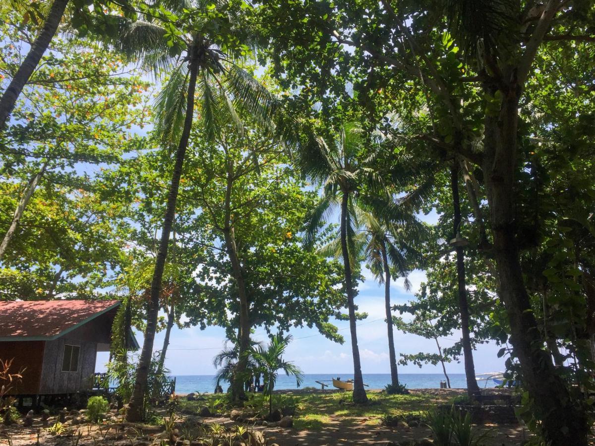Beach House Resort And Dive Center Мамбахао Экстерьер фото